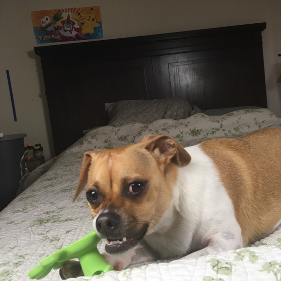 Meet your Posher, Karen - Picture 1 of 4